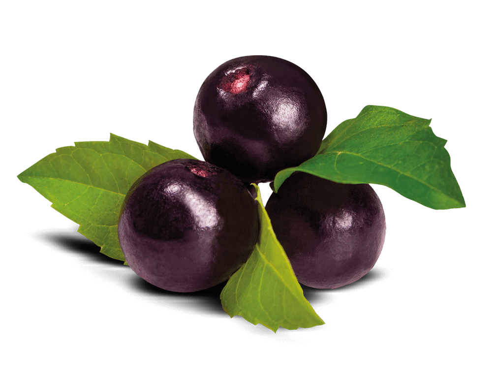 Açaí